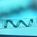 遙遠的思念淡淡的憂傷的頭像