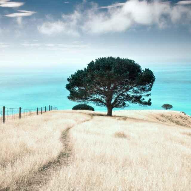 陽光的暖冬的頭像