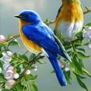 ...碧海藍(lán)天的頭像