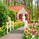 小橋流水的頭像