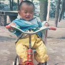 a	金	寶	卵	的頭像