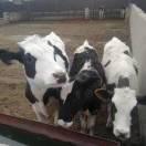 與眾不同^O^.com的頭像