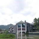 太陽貓貓的頭像