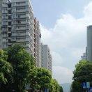 春天的陽光的頭像