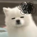 樊梨花兒的頭像