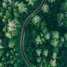 瑾言魚姜的頭像