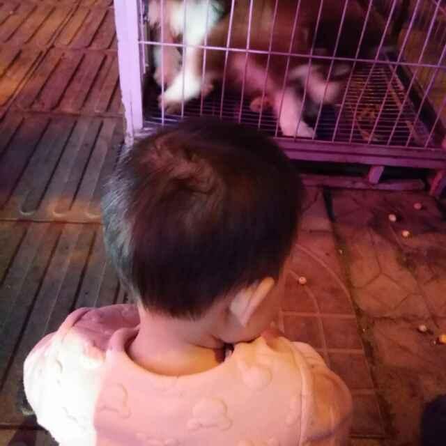 aa井格火鍋的頭像