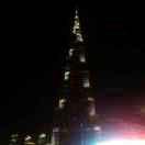 采姑娘的大蘑菇的頭像