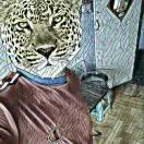 一壺濁酒暖流年的頭像