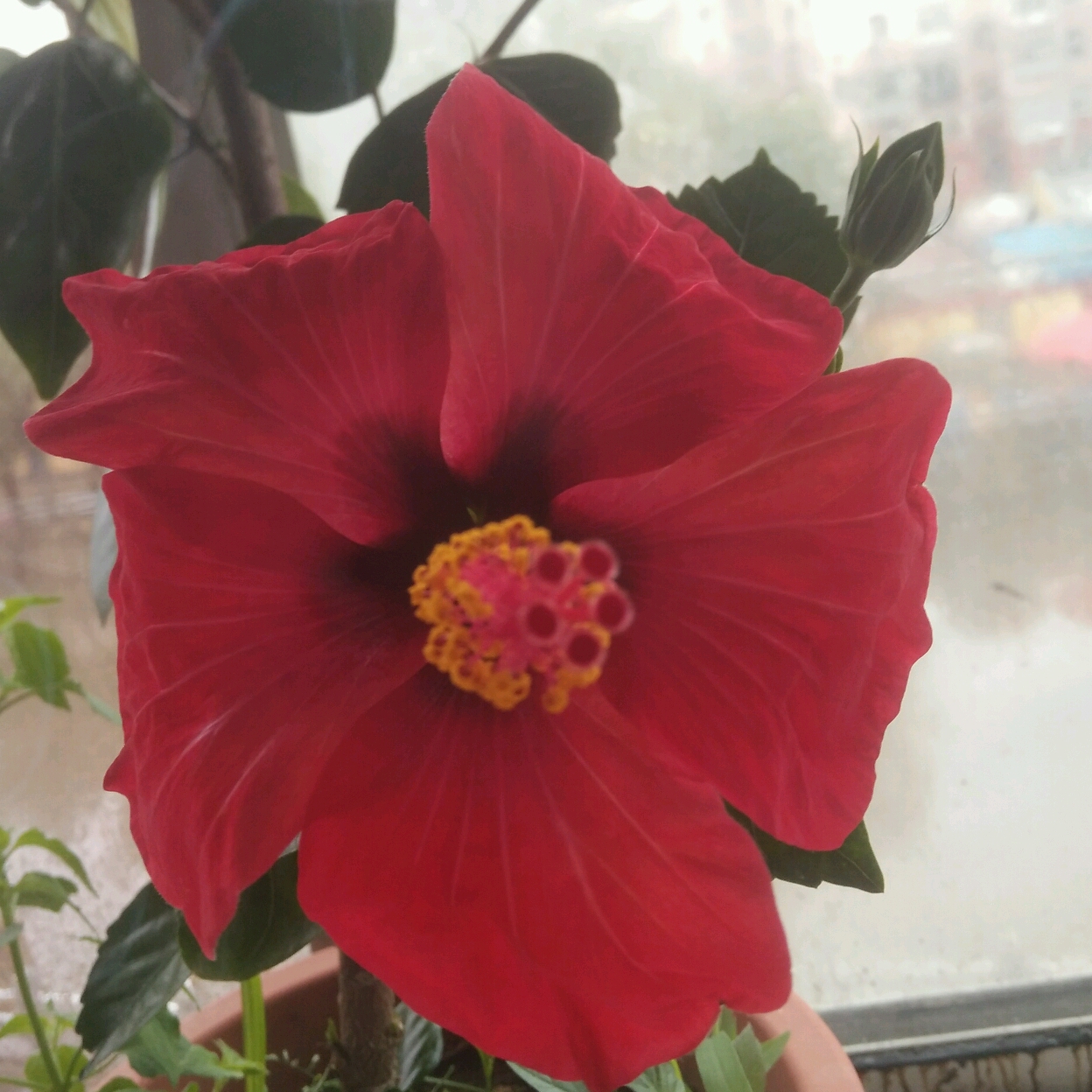 火炎焱燚的頭像