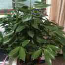 風輕云淡的頭像