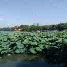 盡隨人意的頭像