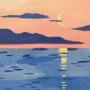 溯洄從之的頭像