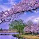 努力奮斗的頭像