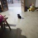 最后一個夏天的頭像