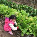 愛我的和我愛的人的頭像