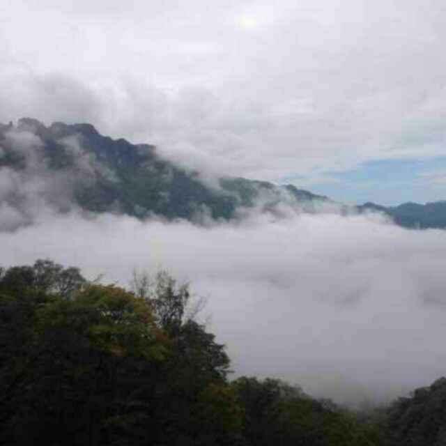 歷史的天空的頭像