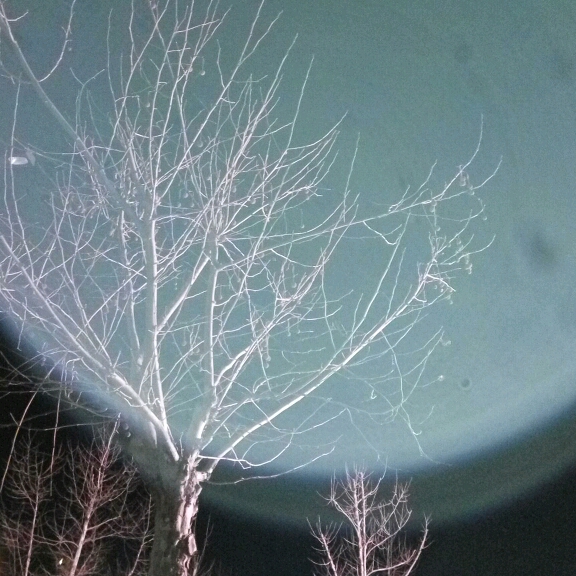 微信13564320467的頭像