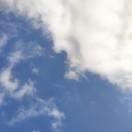 生如夏花的頭像