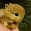 此木亮亮的頭像