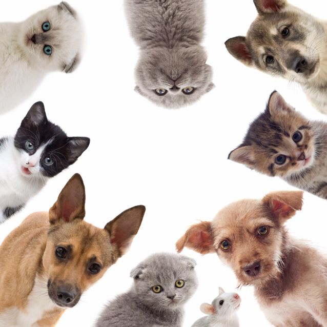 雪地冰心的頭像