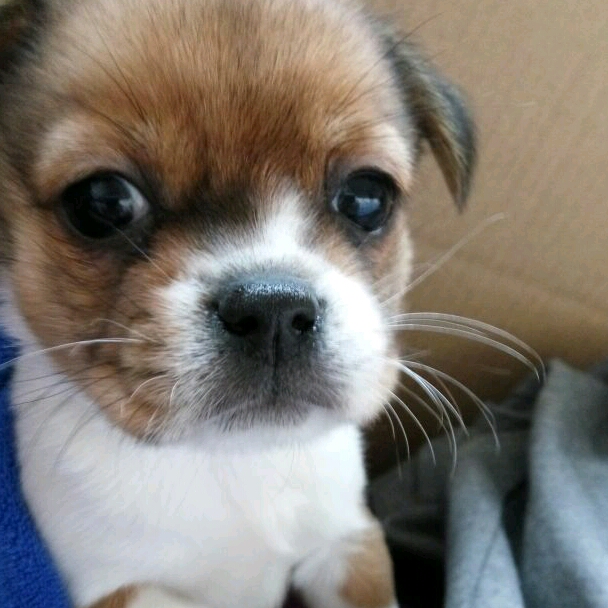 微信13564320467的頭像