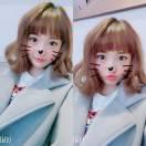 袁堅強的頭像