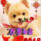 云美（mei)的頭像