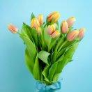 感恩有你的頭像