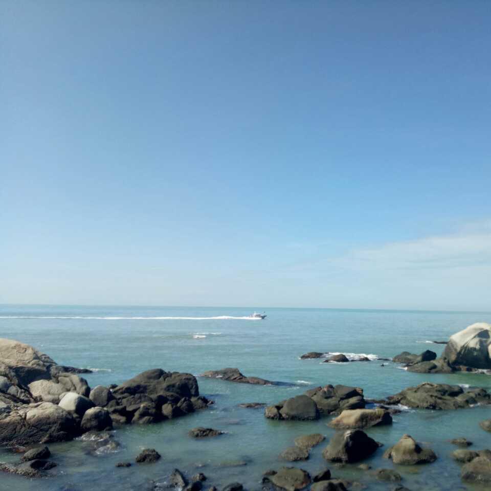 勇于拼搏的頭像