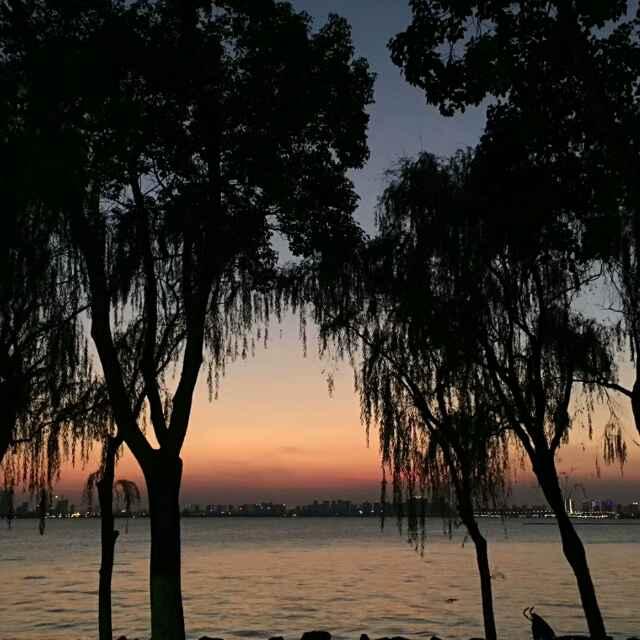 一顆丸子的頭像