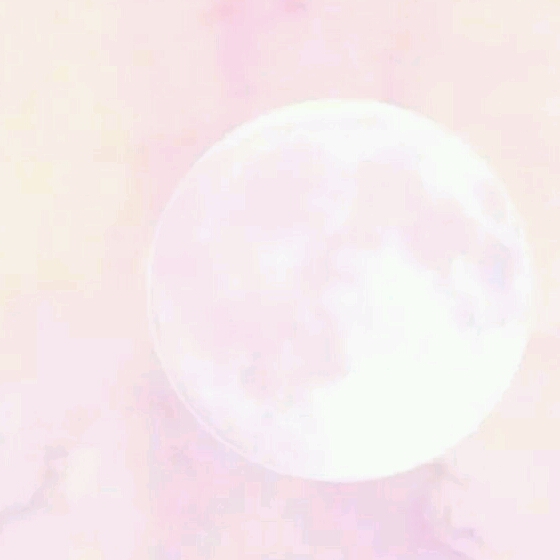 南野精靈的頭像