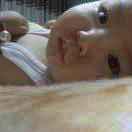 微微一笑很傾城的頭像