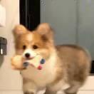 熬夜大王的頭像