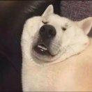 胖紙愛喝粥?的頭像