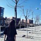 	woli陸小陸		的頭像