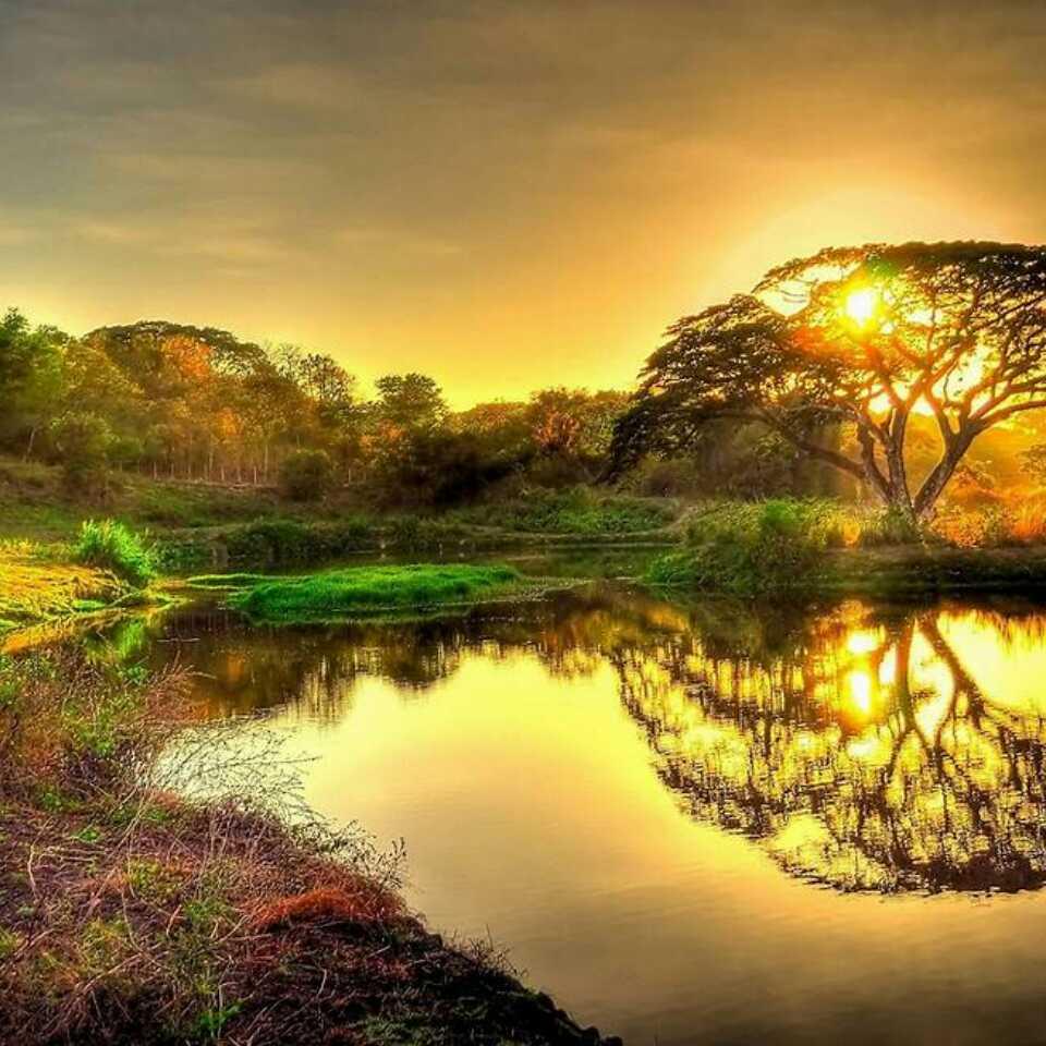 一生承諾的頭像