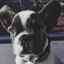 烈日灼心゛的頭像