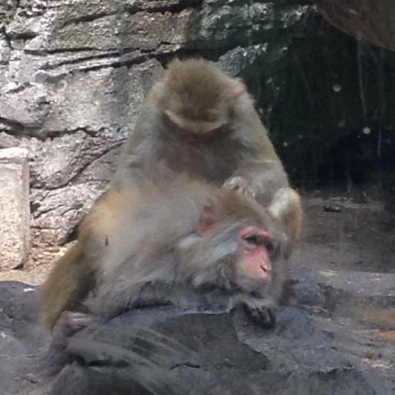 我們的友誼關從這里開始！的頭像