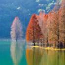 陽(yáng)光的頭像