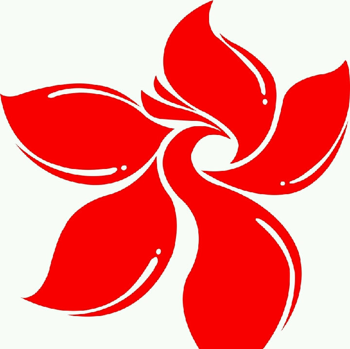 堅(jiān)持的頭像