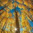 豐源門窗廠15324930888的頭像