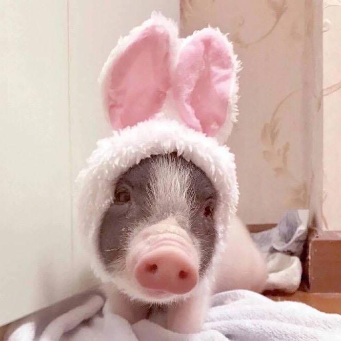 金金金yu的頭像