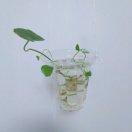 落葉安好的頭像