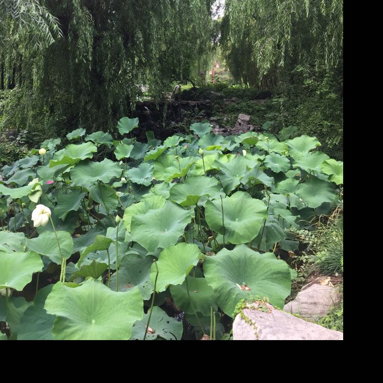 靜候@等待的頭像