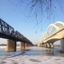 露水依人的頭像