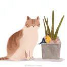 慢熱的橘子的頭像