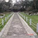 貴族符號的頭像