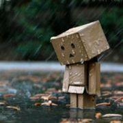 屋檐下雨天漫步的貓的頭像