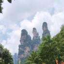 心酸無⊙﹏⊙人知的頭像